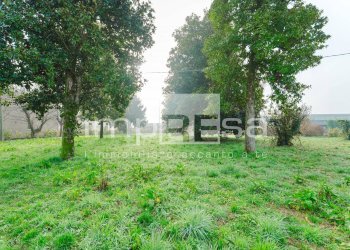 Foto 22 - Villa via Noalese, Treviso - foto 22