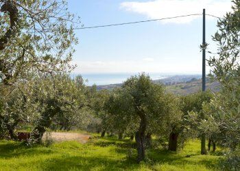 Foto 1 - Terreno agricolo Via della Croce di Montevecchio
 
30, Vasto - foto 1