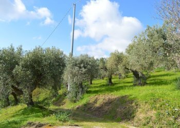 Foto 3 - Terreno agricolo Via della Croce di Montevecchio
 
30, Vasto - foto 3