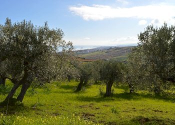 Foto 4 - Terreno agricolo Via della Croce di Montevecchio
 
30, Vasto - foto 4