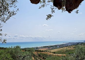 Foto 5 - Terreno agricolo Via della Croce di Montevecchio
30, Vasto - foto 5
