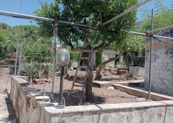 Giardino - Semi-detached house VIA VIRGILIO
 
10, Valderice - photo 12