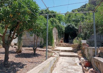 Giardino - Semi-detached house VIA VIRGILIO
 
10, Valderice - photo 16