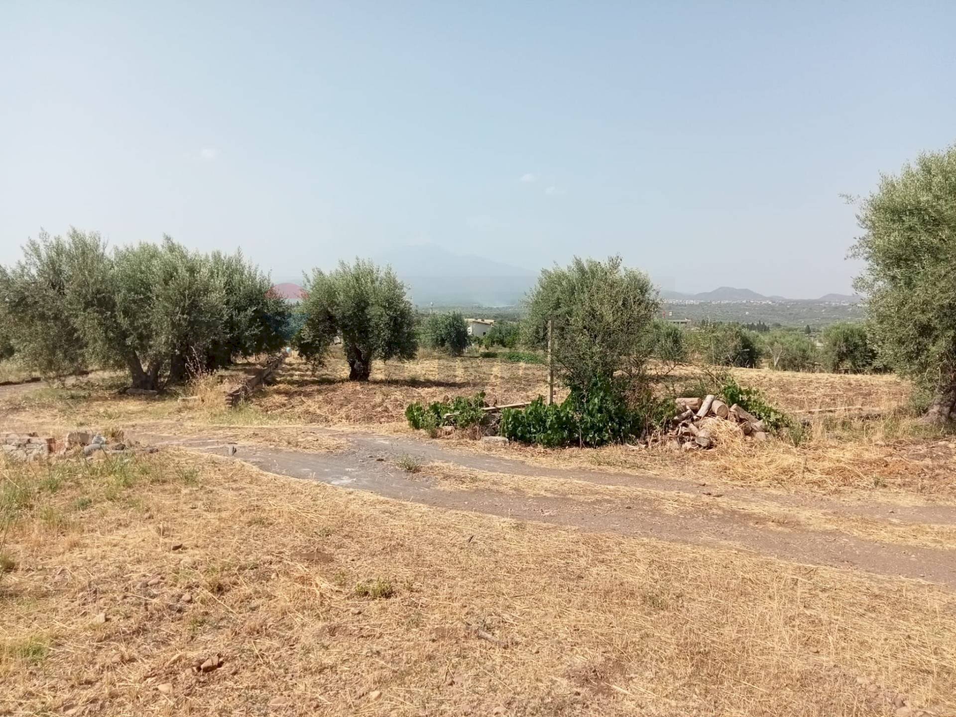 Giardino - Agricultural land Contrada cugno
 
snc, Belpasso - photo 2