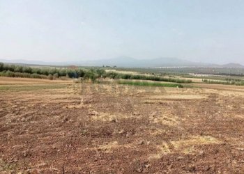 Vista delle montagne - Agricultural land Contrada cugno
snc, Belpasso - photo 5