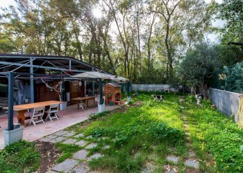 Giardino - Bilocale Via Senna
 
11, Catania - foto 3