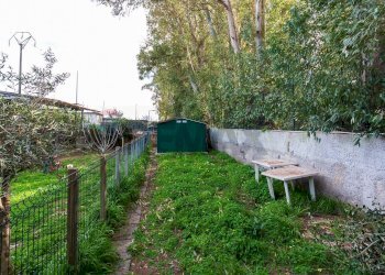 Giardino - Bilocale Via Senna
 
11, Catania - foto 18