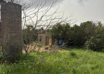 Giardino - Casa indipendente contrada piano stella, Caltagirone - foto 9