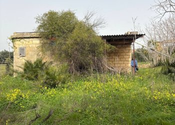 Giardino - Casa indipendente contrada piano stella, Caltagirone - foto 10