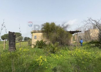 Giardino - Casa indipendente contrada piano stella, Caltagirone - foto 12