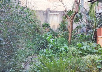 Giardino - Casa semi indipendente Via Archimede
 
210, Misterbianco - foto 4