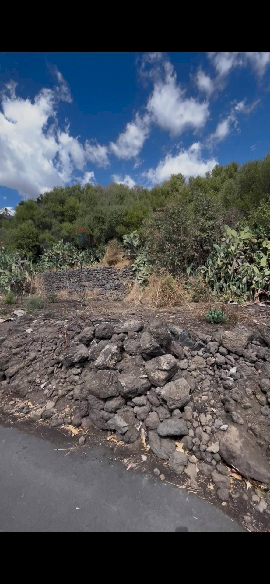 Vista delle montagne - Terreno agricolo strada quartararo SN, Misterbianco - foto 1