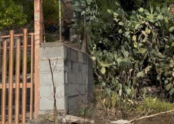 Giardino - Terreno agricolo strada quartararo SN, Misterbianco - foto 11