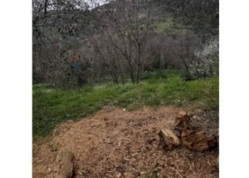 Vista delle montagne - Appartamento Via del Bozzolo
 
3/c, Magione - foto 11