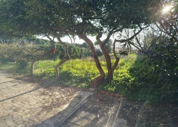 Giardino - Villa p.ta delle sirene, Anzio - foto 7