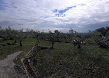 Giardino - Terreno agricolo via Cristoforo Colombo
32, San Pietro Clarenza - foto 1