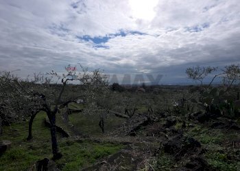 Vista delle montagne - Terreno agricolo via Cristoforo Colombo
32, San Pietro Clarenza - foto 5