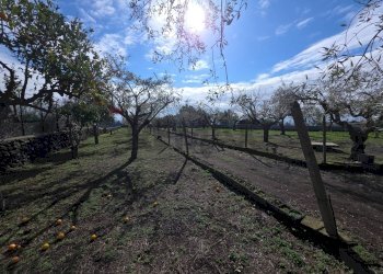 Vista delle montagne - Terreno agricolo via Cristoforo Colombo
32, San Pietro Clarenza - foto 12