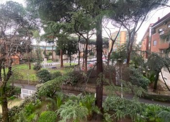 Giardino - Quadrilocale Via Antonio Cippico
 
35, Roma - foto 12