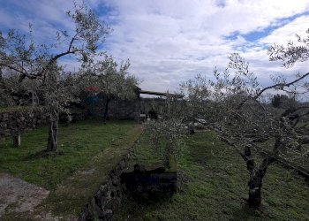 Giardino - Terreno agricolo via Cristoforo Colombo
 
32, San Pietro Clarenza - foto 2