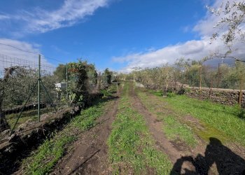Giardino - Terreno agricolo via Cristoforo Colombo
 
32, San Pietro Clarenza - foto 14