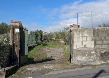 Giardino - Terreno agricolo via Cristoforo Colombo
 
32, San Pietro Clarenza - foto 16