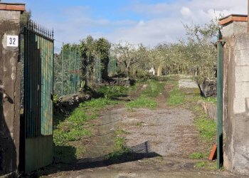 Giardino - Terreno agricolo via Cristoforo Colombo
 
32, San Pietro Clarenza - foto 17