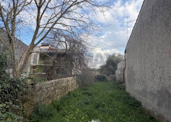 Giardino - Terreno edificabile Via Dante, Cassaro - foto 3