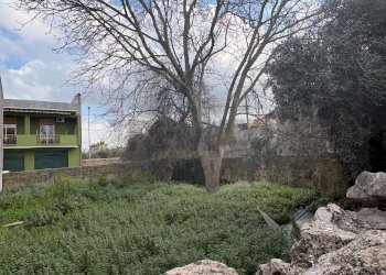 Giardino - Terreno edificabile Via Dante, Cassaro - foto 4