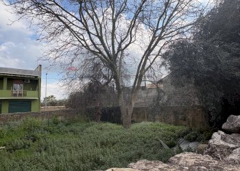 Giardino - Terreno edificabile Via Dante, Cassaro - foto 5