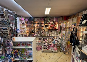 Dispensa di stoccaggio - Attività Commerciale San Giovanni Bianco - foto 5