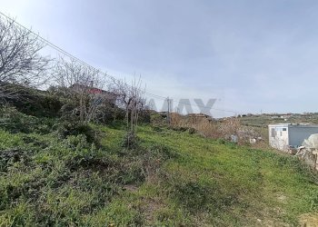 Giardino - Terreno edificabile VIA TORREMONTANARA, Torrevecchia Teatina - foto 6