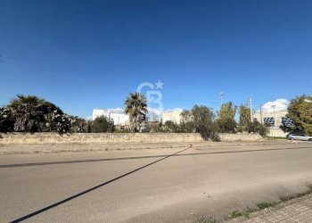 Foto 3 - Terreno edificabile Via Picasso, Sogliano Cavour - foto 3