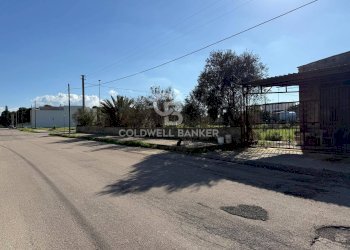 Foto 4 - Terreno edificabile Via Picasso, Sogliano Cavour - foto 4