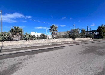 Foto 6 - Terreno edificabile Via Picasso, Sogliano Cavour - foto 6