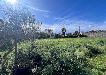 Foto 7 - Terreno edificabile Via Picasso, Sogliano Cavour - foto 7