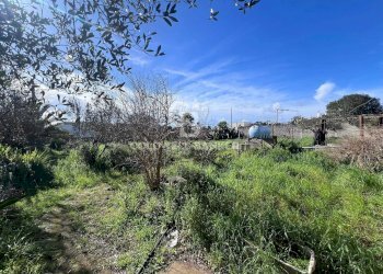 Foto 8 - Terreno edificabile Via Picasso, Sogliano Cavour - foto 8