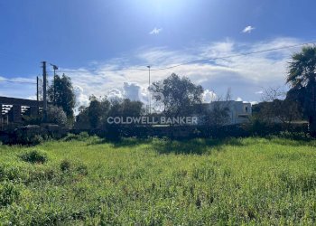 Foto 9 - Terreno edificabile Via Picasso, Sogliano Cavour - foto 9