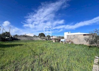 Foto 11 - Terreno edificabile Via Picasso, Sogliano Cavour - foto 11