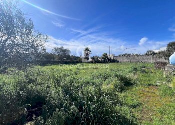 Foto 12 - Terreno edificabile Via Picasso, Sogliano Cavour - foto 12