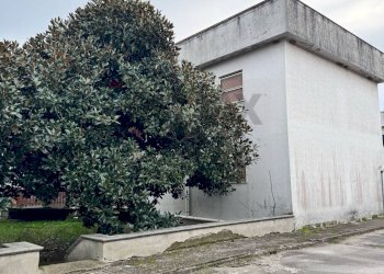 Casa all\'aperto - Trilocale Corso Umberto I - Parco Sant'Angelo
 
Snc, Carinola - foto 21