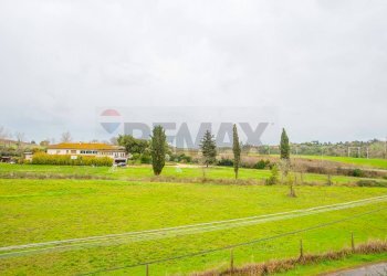 Giardino - Appartamento Via Colle Selce, Roma - foto 11