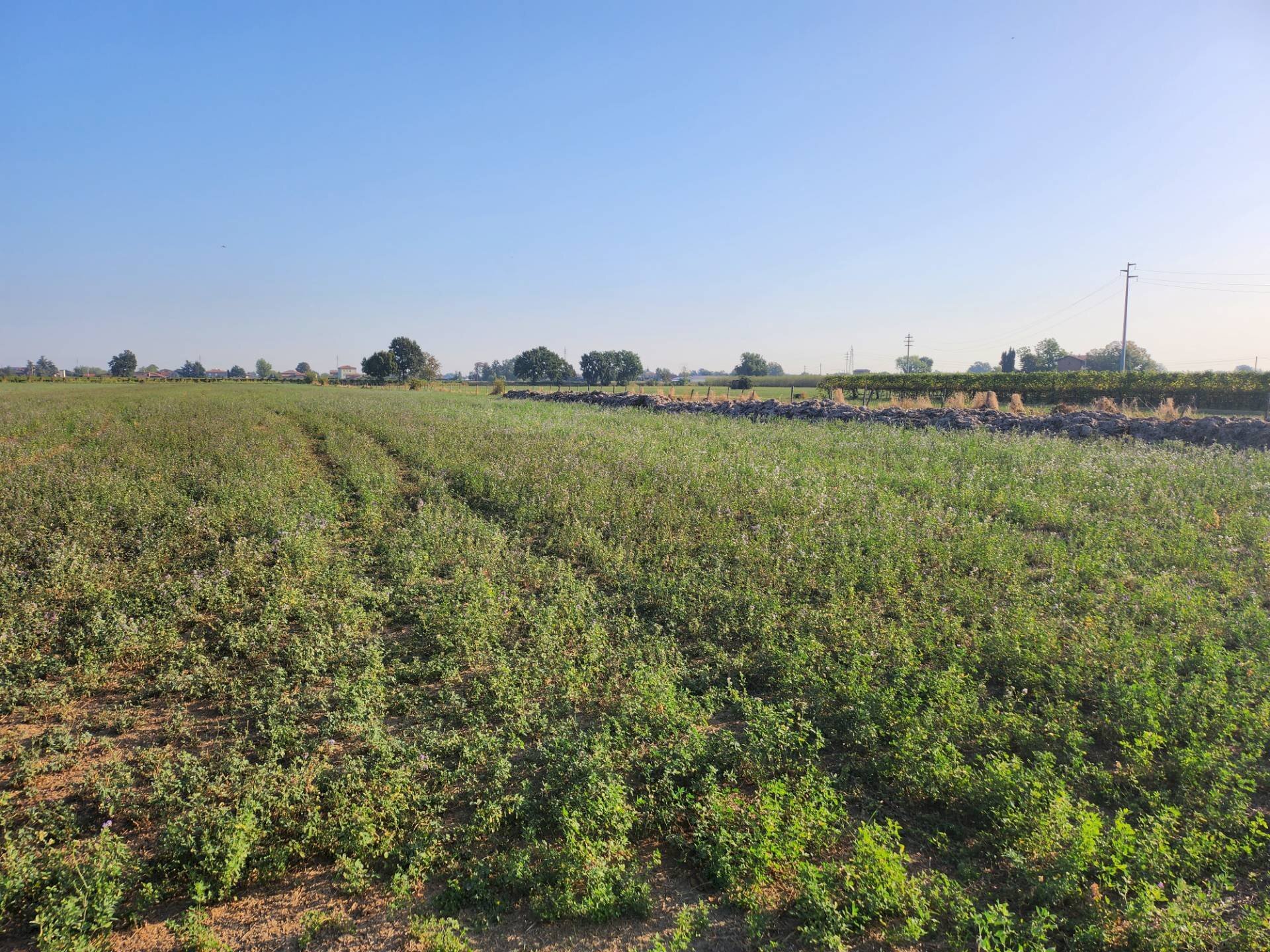 Foto 1 - Terreno agricolo Formigine - foto 1