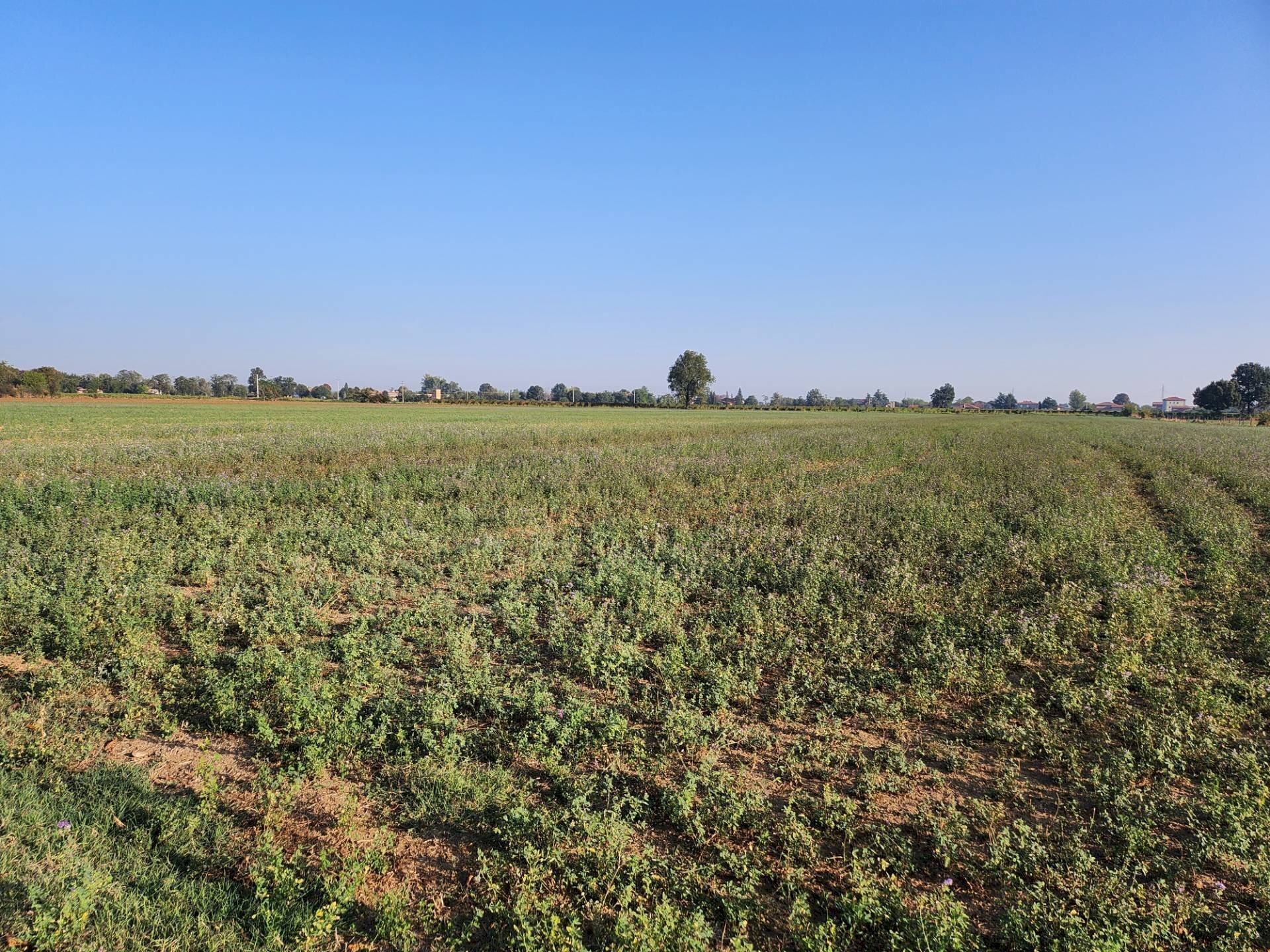 Foto 3 - Terreno agricolo Formigine - foto 3