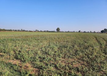 Foto 3 - Terreno agricolo Formigine - foto 3