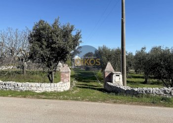 Foto 2 - Rustico Contrada Sorba
 
snc, Monopoli - foto 2