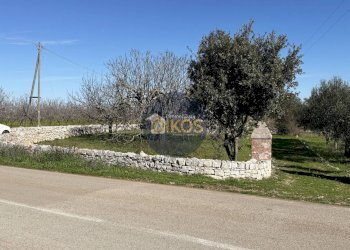 Foto 3 - Rustico Contrada Sorba
 
snc, Monopoli - foto 3