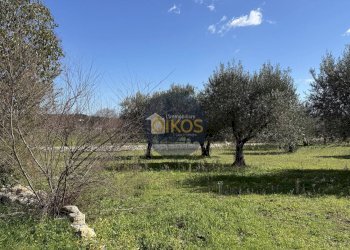 Foto 7 - Rustico Contrada Sorba
 
snc, Monopoli - foto 7