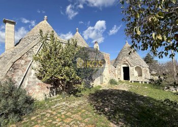 Foto 14 - Rustico Contrada Sorba
 
snc, Monopoli - foto 14