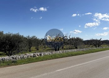 Foto 30 - Rustico Contrada Sorba
 
snc, Monopoli - foto 30